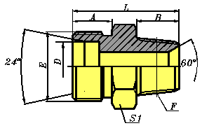 1DT-SP公制外螺纹24°重系列/英锥管外螺纹60°